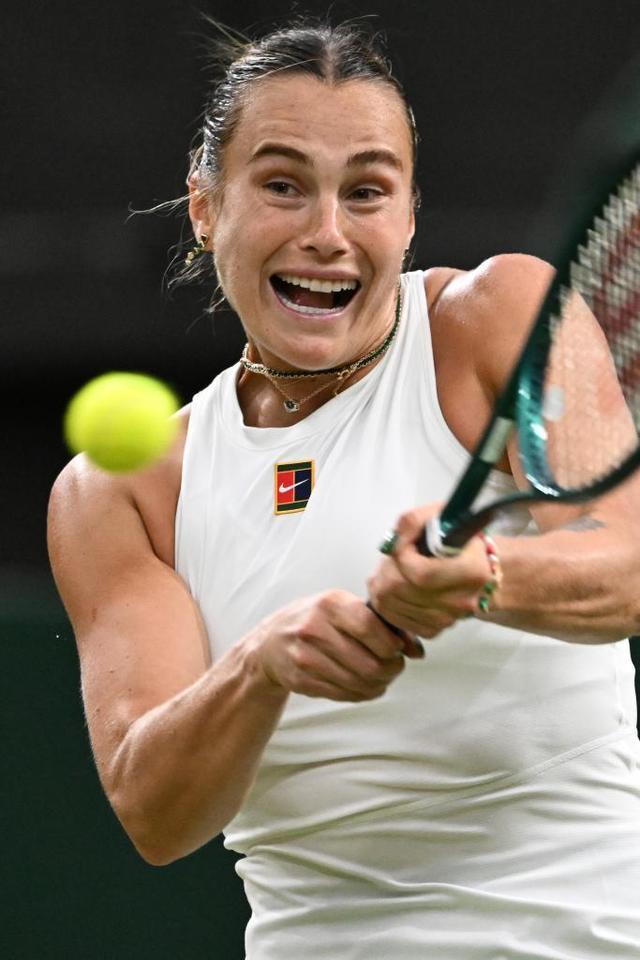 尽管哈兰德 尽管哈兰德