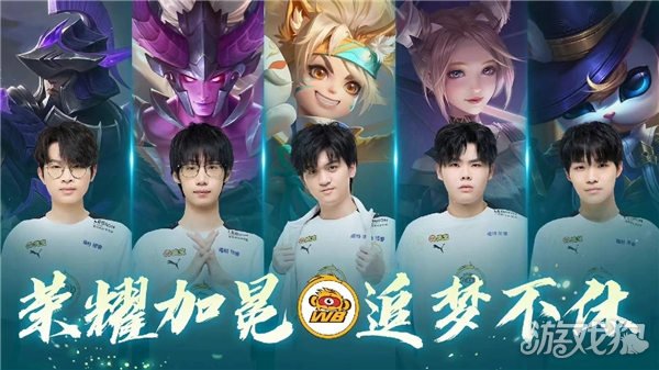 或补强的球 或补强的球