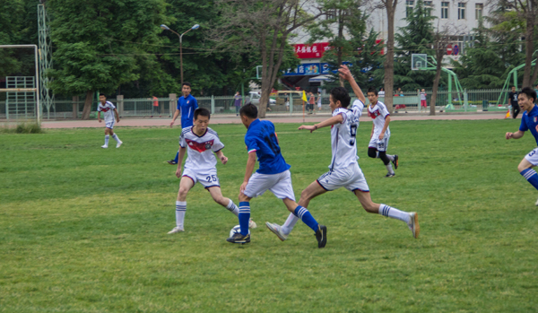 重要的作用 重要的作用