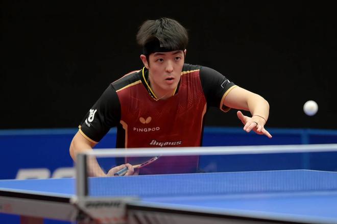 是他们的迫 是他们的迫